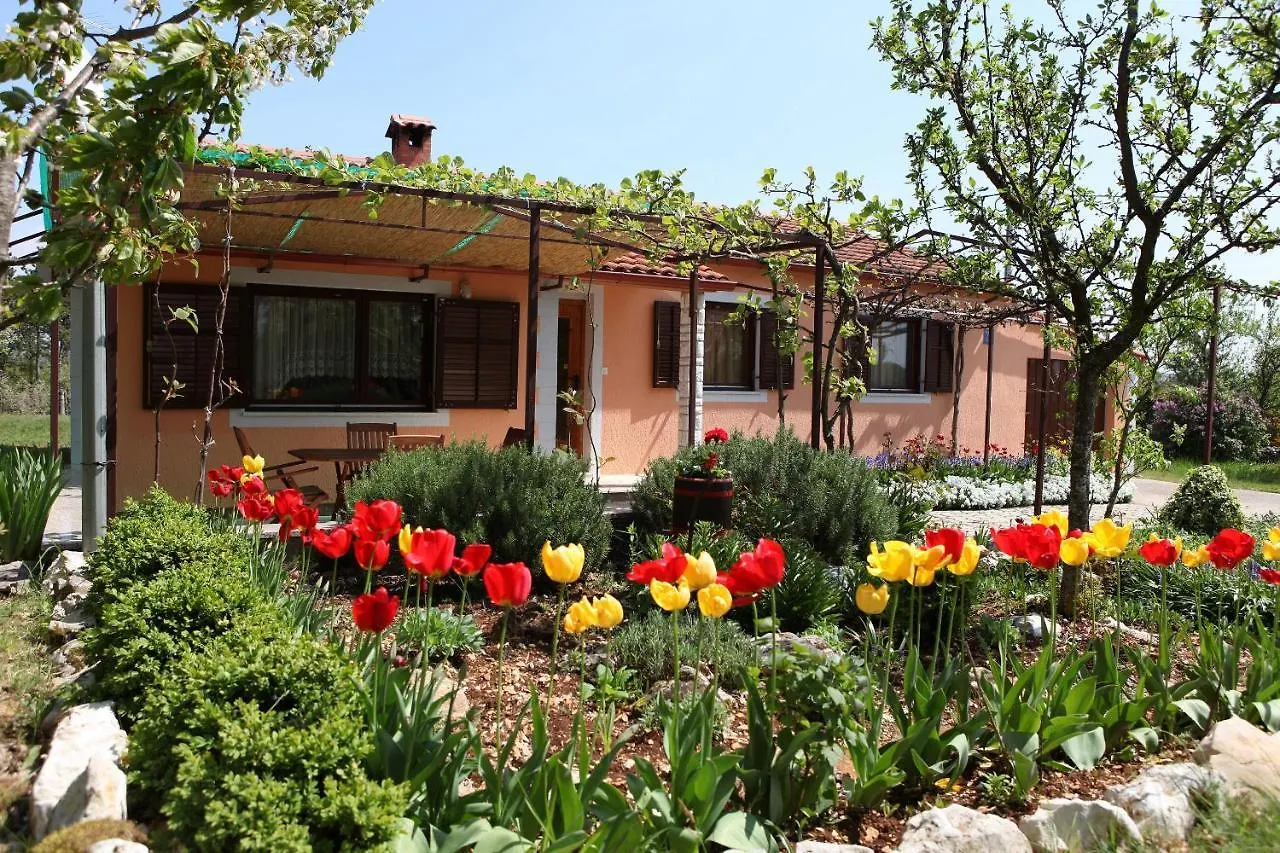 Villa Fragola - Holiday House With Large Garden Tinjan