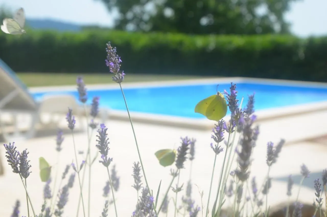 Villa Fragola - Holiday House With Large Garden Tinjan 0*,  Croatia